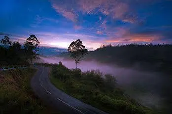 *** Resort Elysium Garden Hotel Munnar India